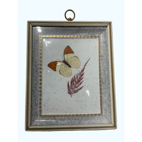 Vintage Butterfly Shadow Box Art Reliance Industries Glass Frame With Gold Detai - Picture 1 of 4